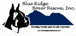 blue-ridge-boxer-rescue.jpg