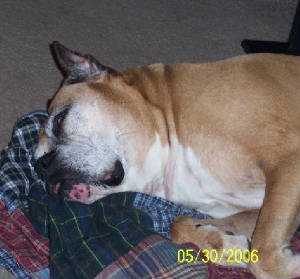 stormie-snoozin.jpg